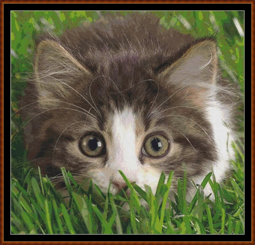 Hiding  