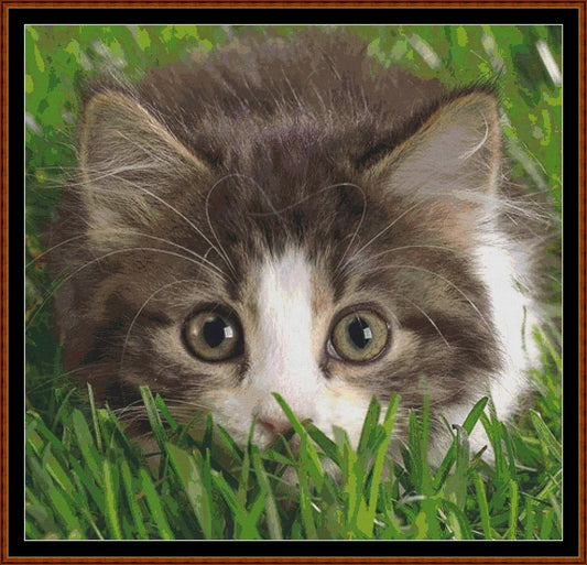 Hiding  
