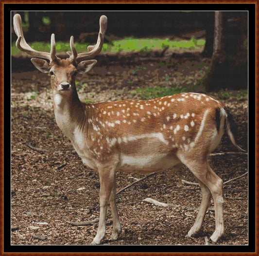 Forest Creatures - Deer  