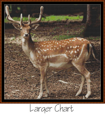 Forest Creatures - Deer  