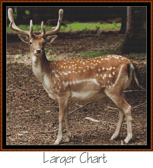 Forest Creatures - Deer  