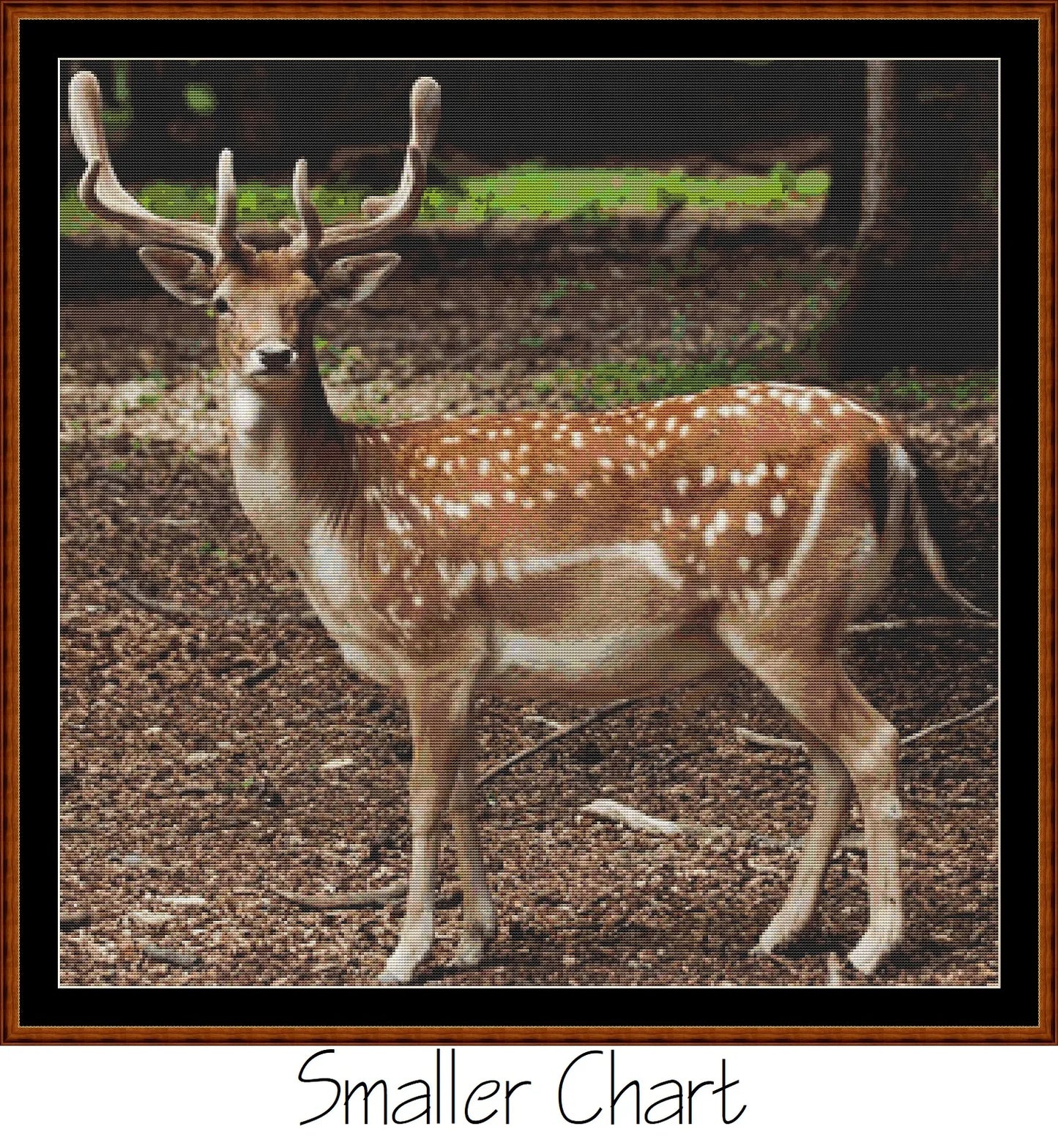 Forest Creatures - Deer  