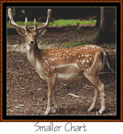 Forest Creatures - Deer  