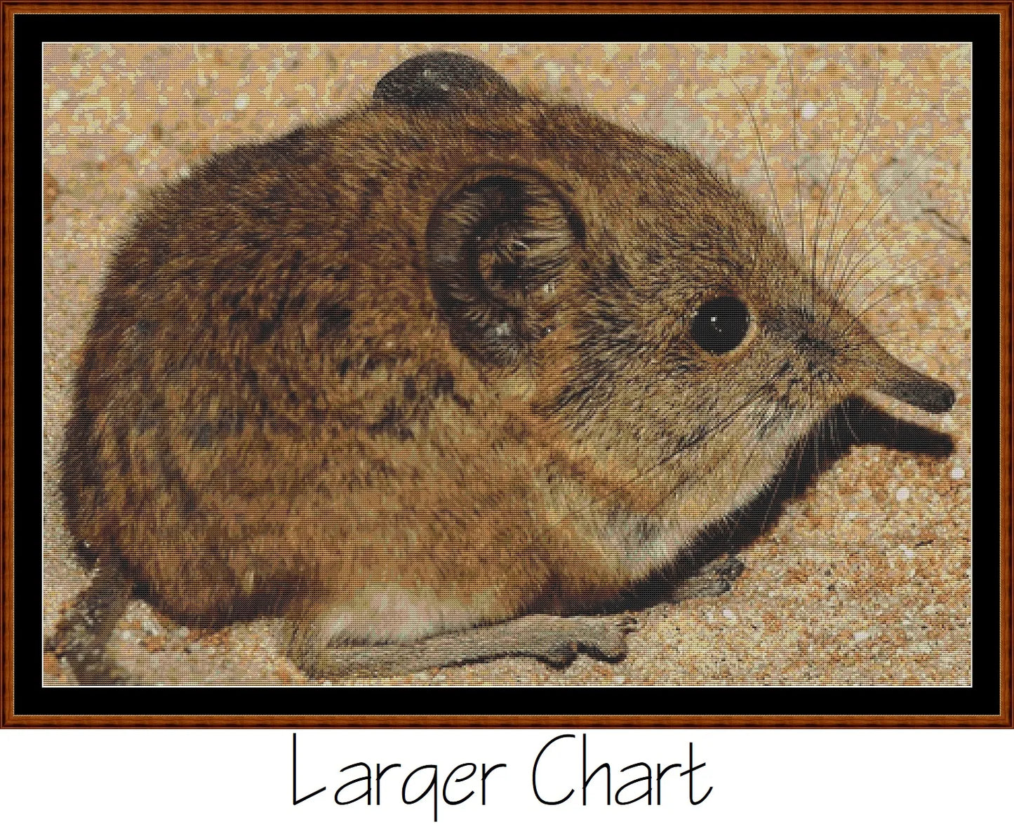 Mini Creatures - Elephant Shrew  
