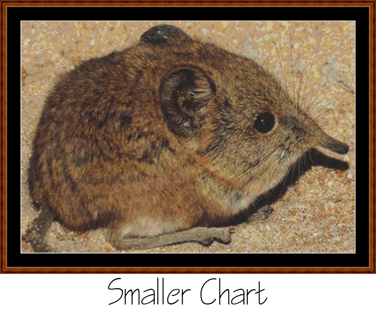 Mini Creatures - Elephant Shrew  