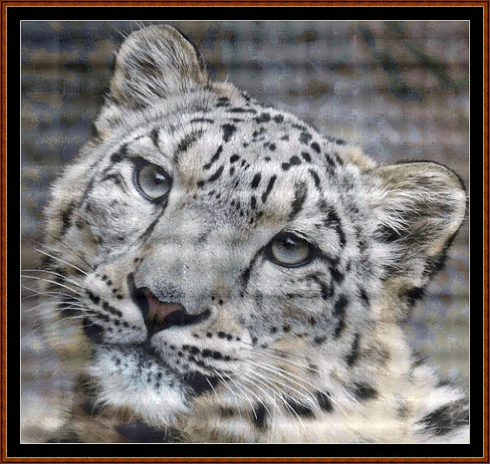 Fierce Creatures - Snow Leopard  