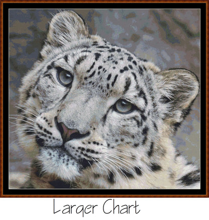 Fierce Creatures - Snow Leopard  