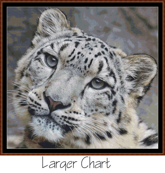 Fierce Creatures - Snow Leopard  
