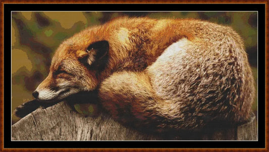 Sleepy  Fox patterns created from a photo by Pexels under CC0 license
