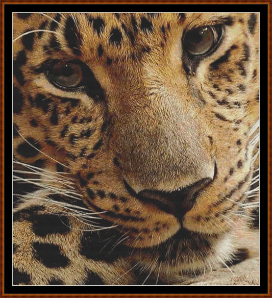 Up Close leopard cross stitch patterns are expertly created from art under CC0 license