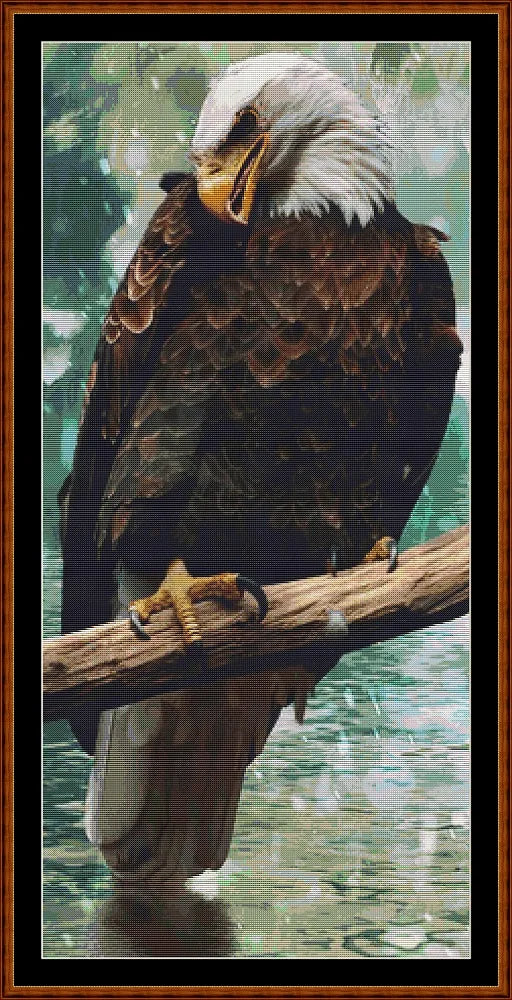 Eagle Rest  