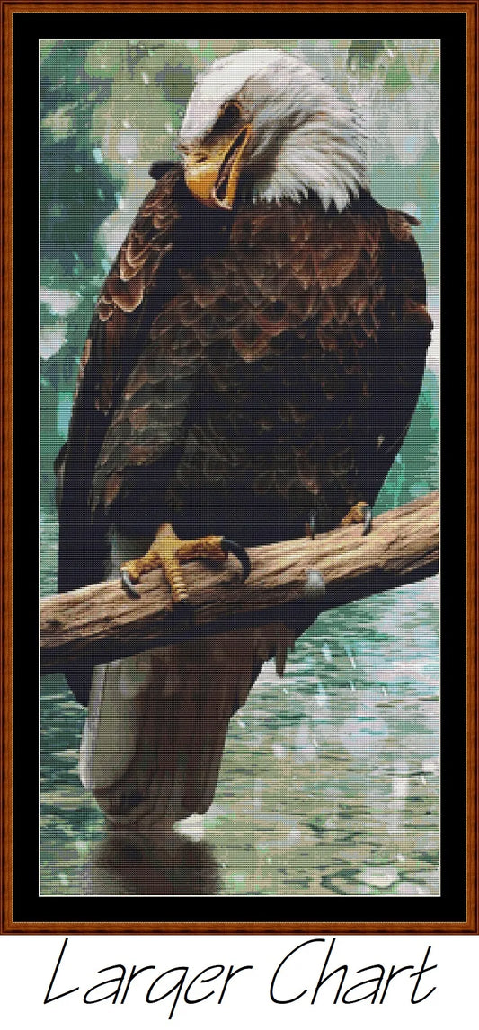 Eagle Rest  