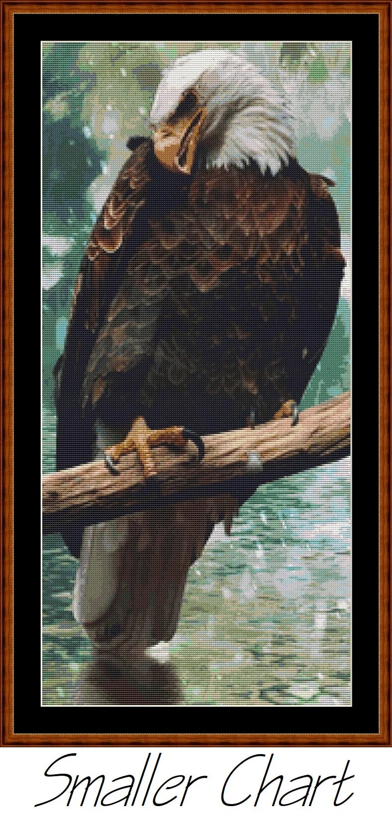 Eagle Rest  
