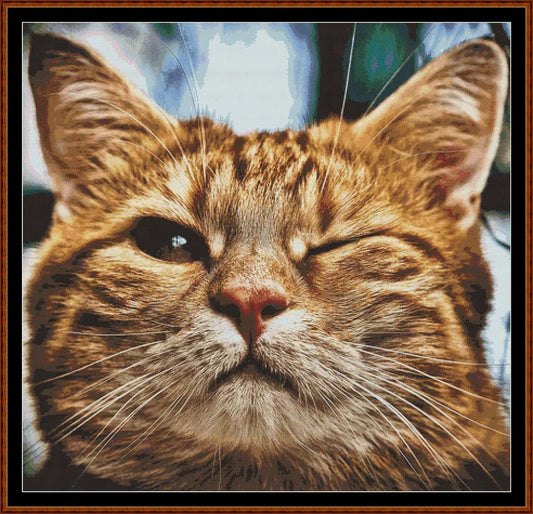 Wink Wink  