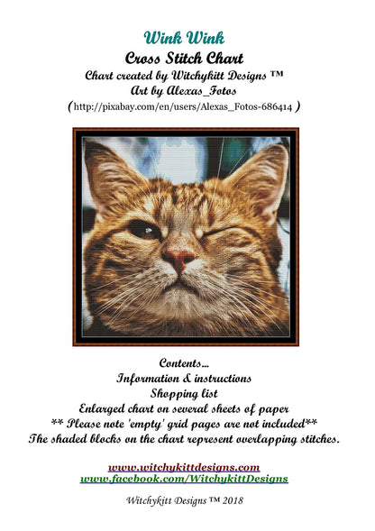 Wink Wink  