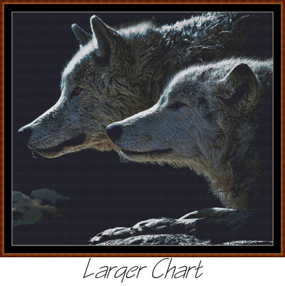 Wolf Stare  