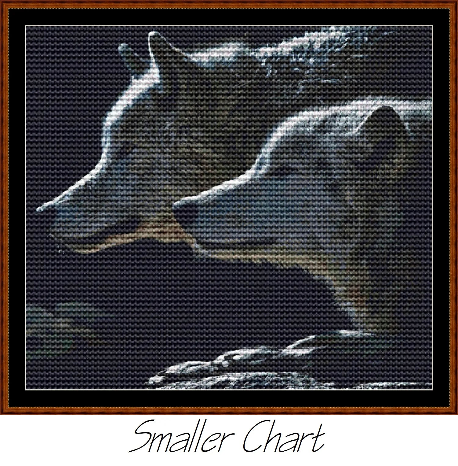 Wolf Stare  
