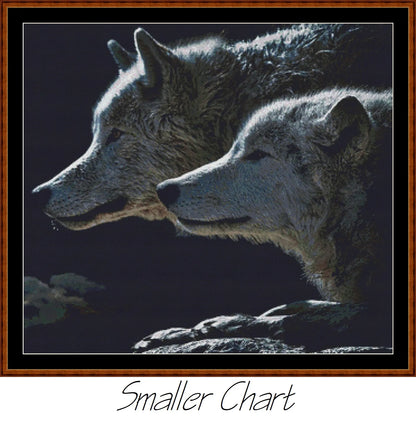 Wolf Stare  