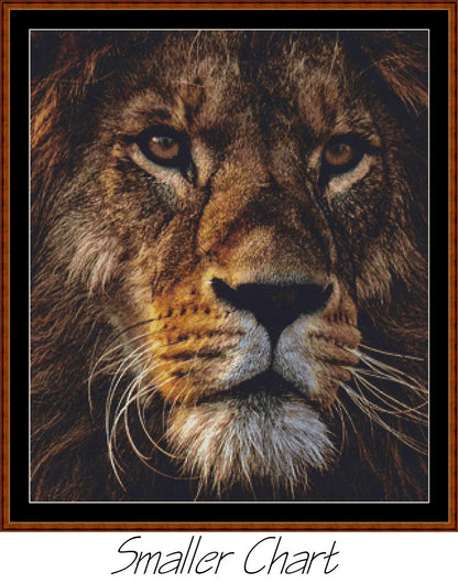 Fierce Creatures - Lion  