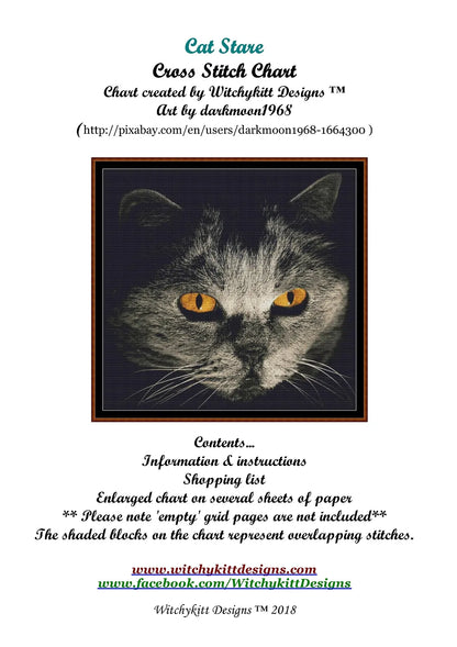 Cat Stare  