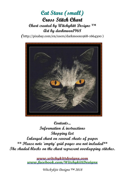 Cat Stare  