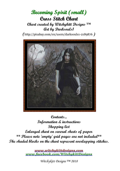 Becoming Spirit  