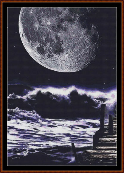 Tidal Moon  