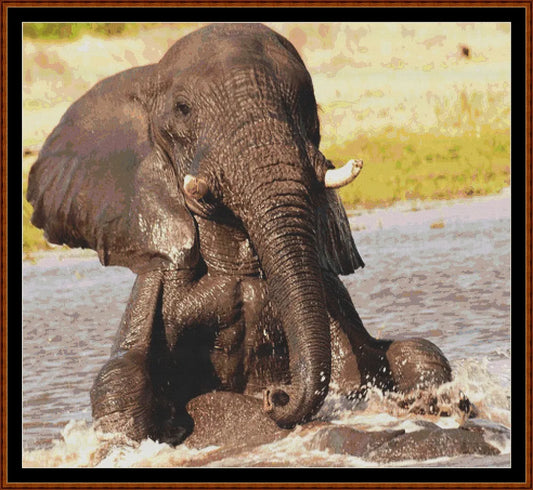 Bathtime  
