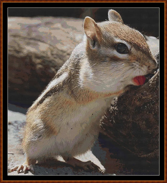 Mini Creatures - Chipmunk  