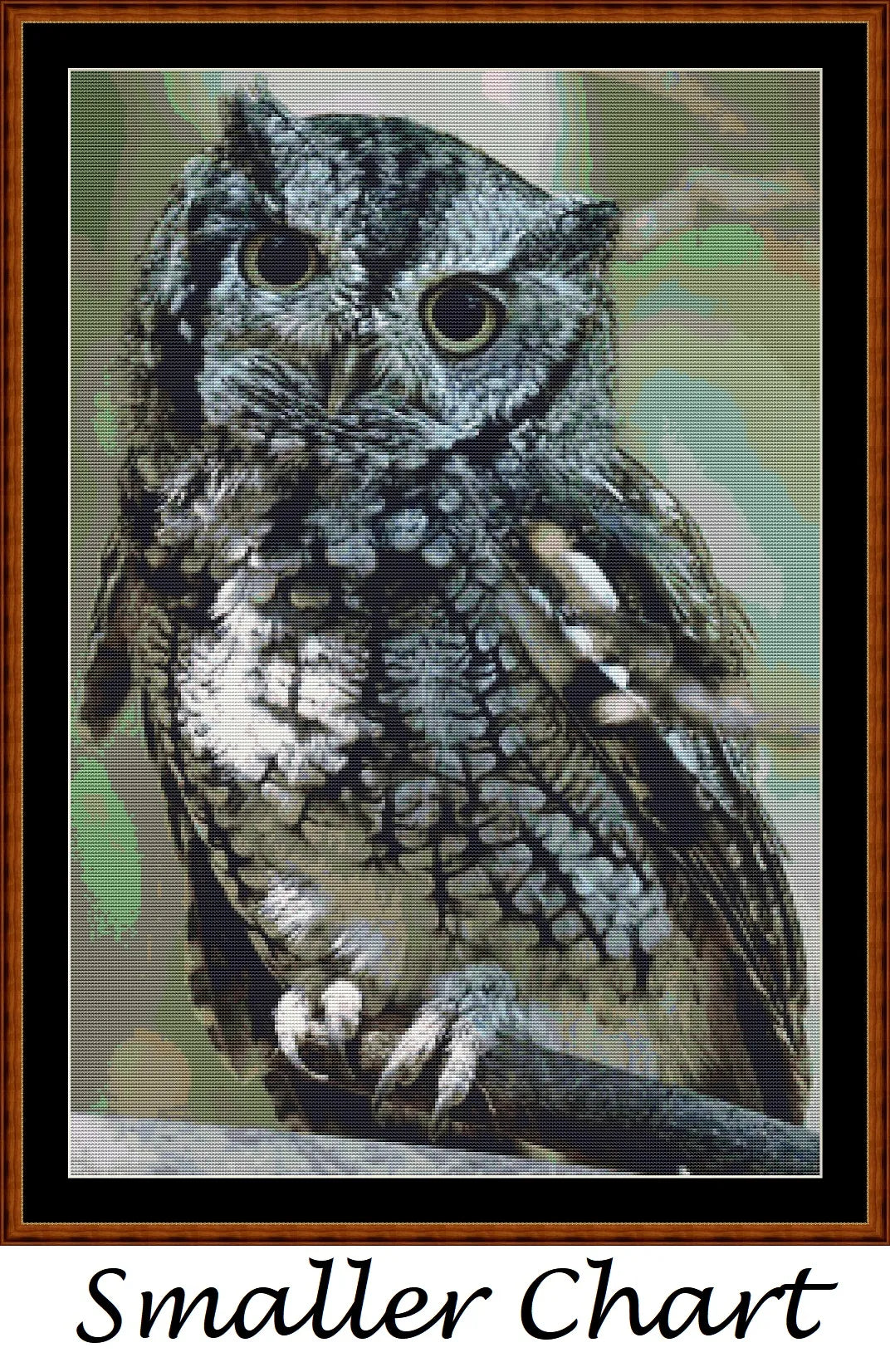 Eastern Screech Owl  