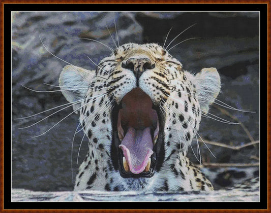 Fierce Creatures - Leopard  