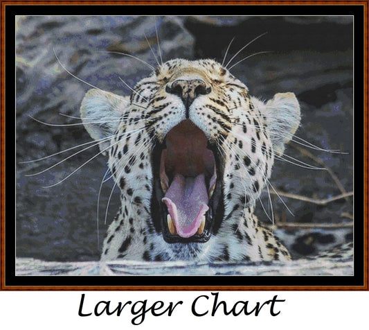Fierce Creatures - Leopard  