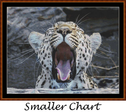 Fierce Creatures - Leopard  