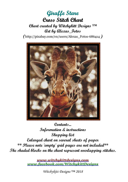 Giraffe Stare  