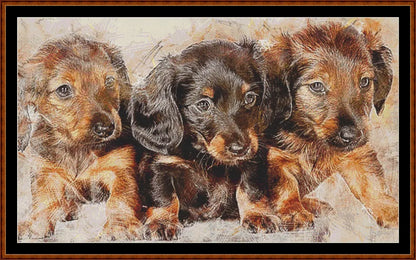 Puppy Portrait  