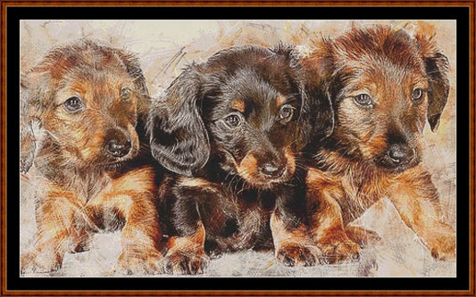 Puppy Portrait  