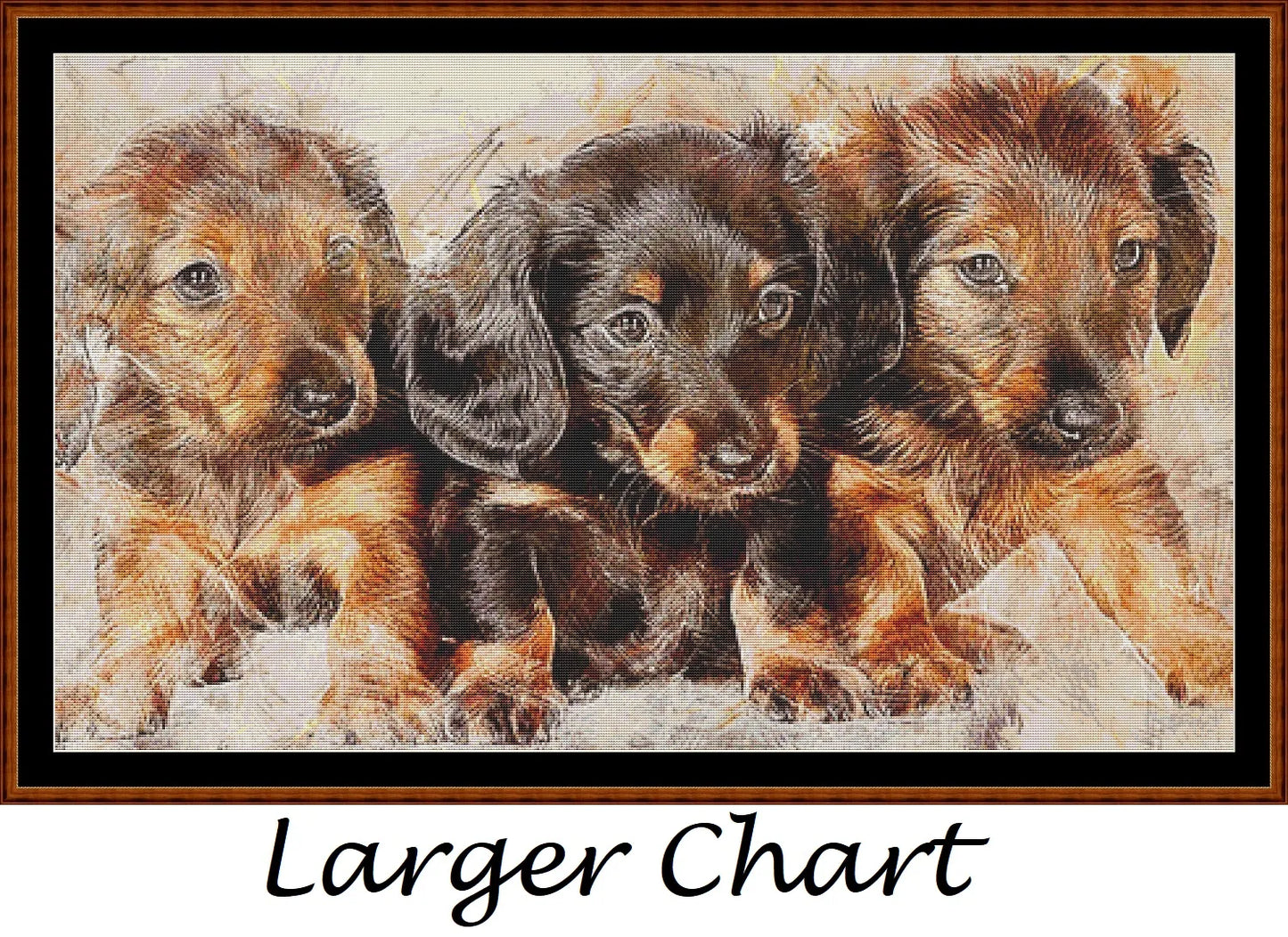 Puppy Portrait  