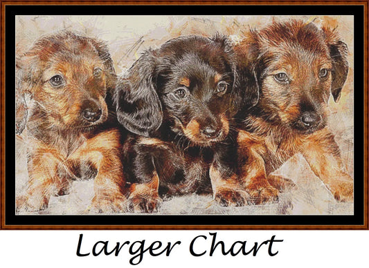 Puppy Portrait  