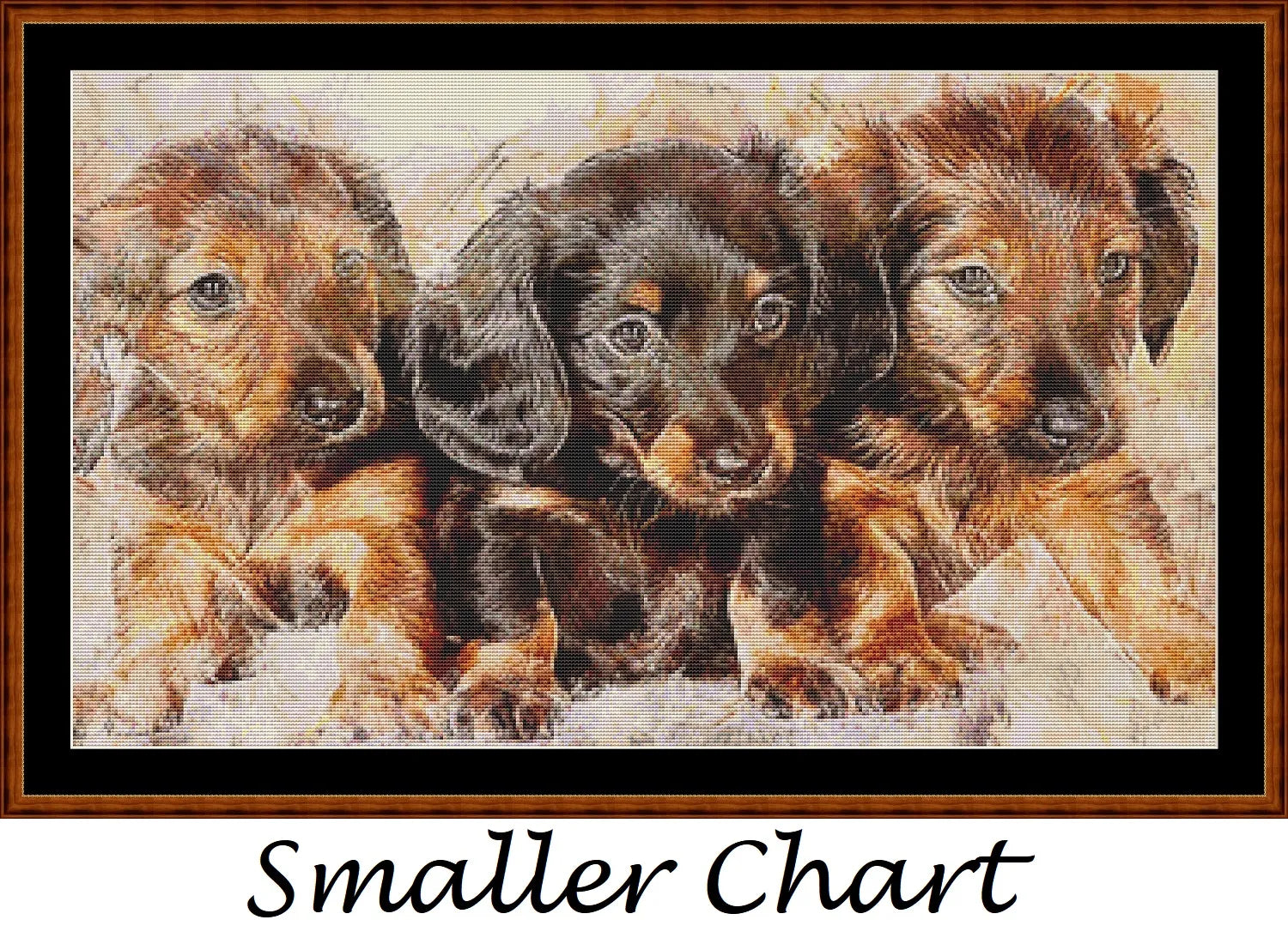 Puppy Portrait  