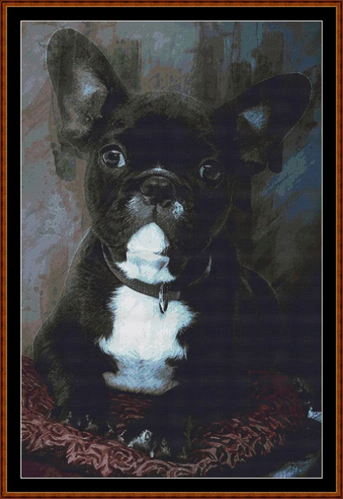 Bulldog Portrait  