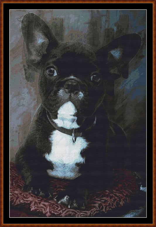 Bulldog Portrait  