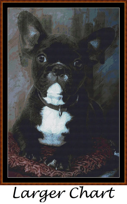 Bulldog Portrait  