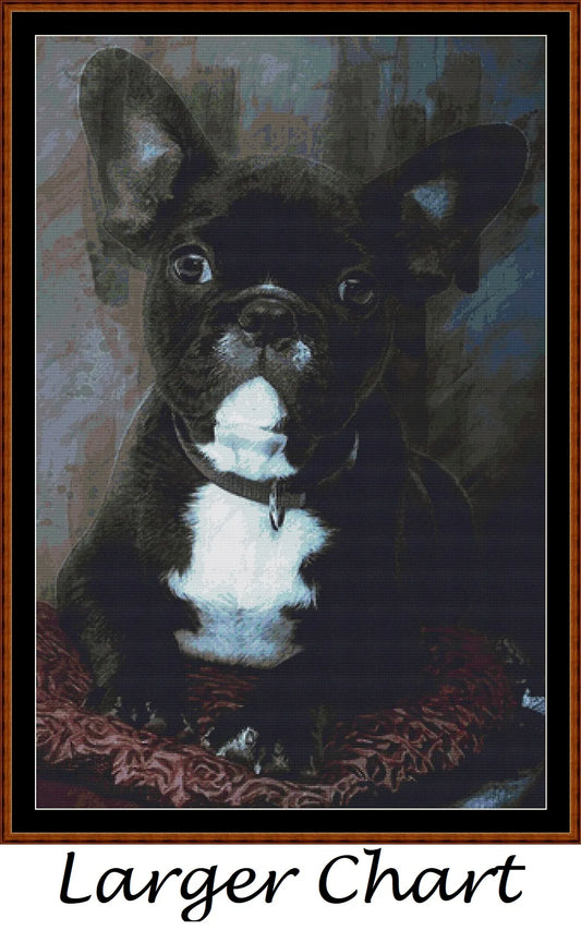 Bulldog Portrait  