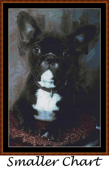Bulldog Portrait  