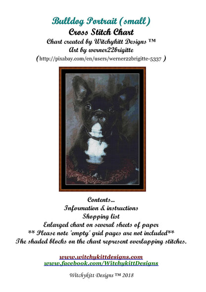 Bulldog Portrait  