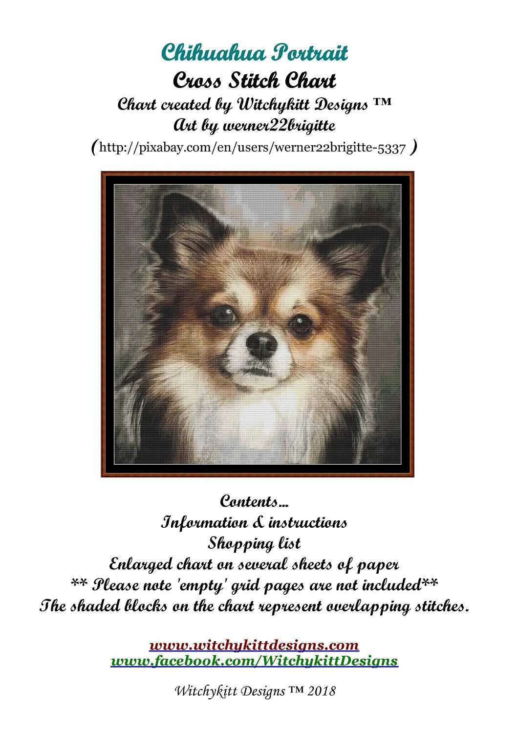 Chihuahua Portrait  