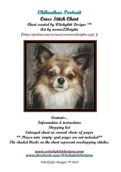 Chihuahua Portrait  