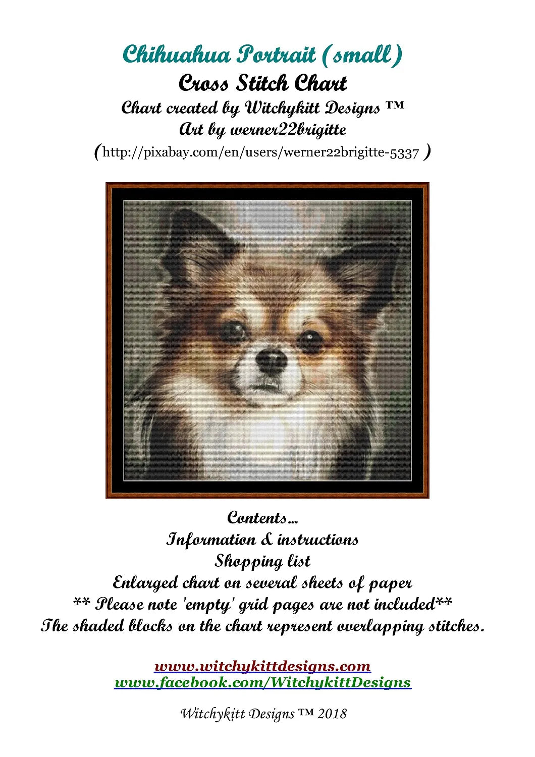 Chihuahua Portrait  