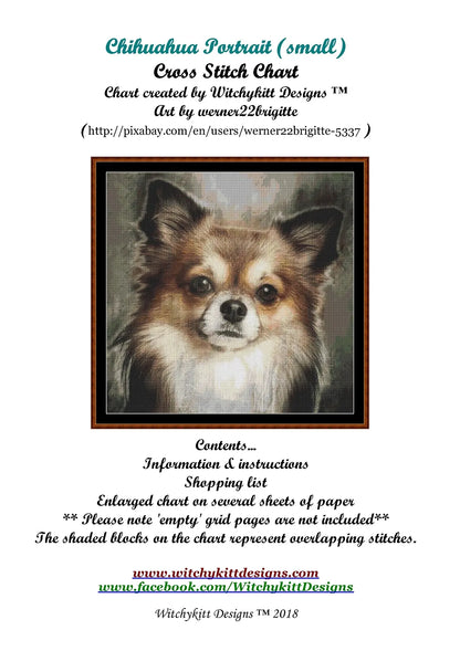 Chihuahua Portrait  