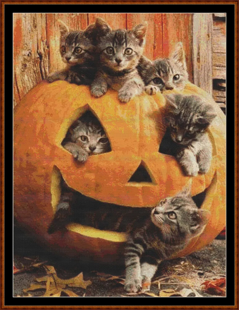 Pumpkin Kitties  